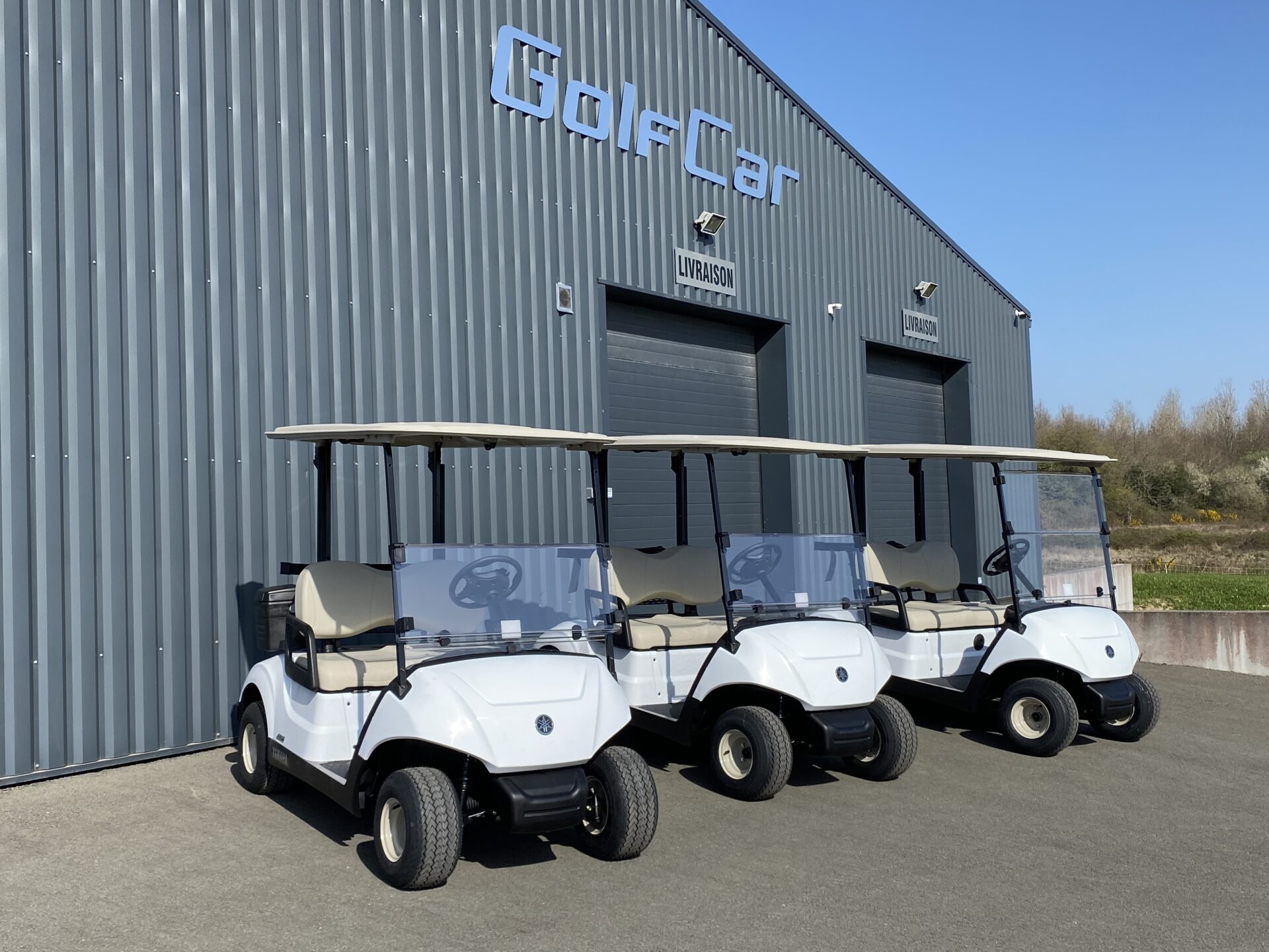 GolfCar Distributeur Yamaha