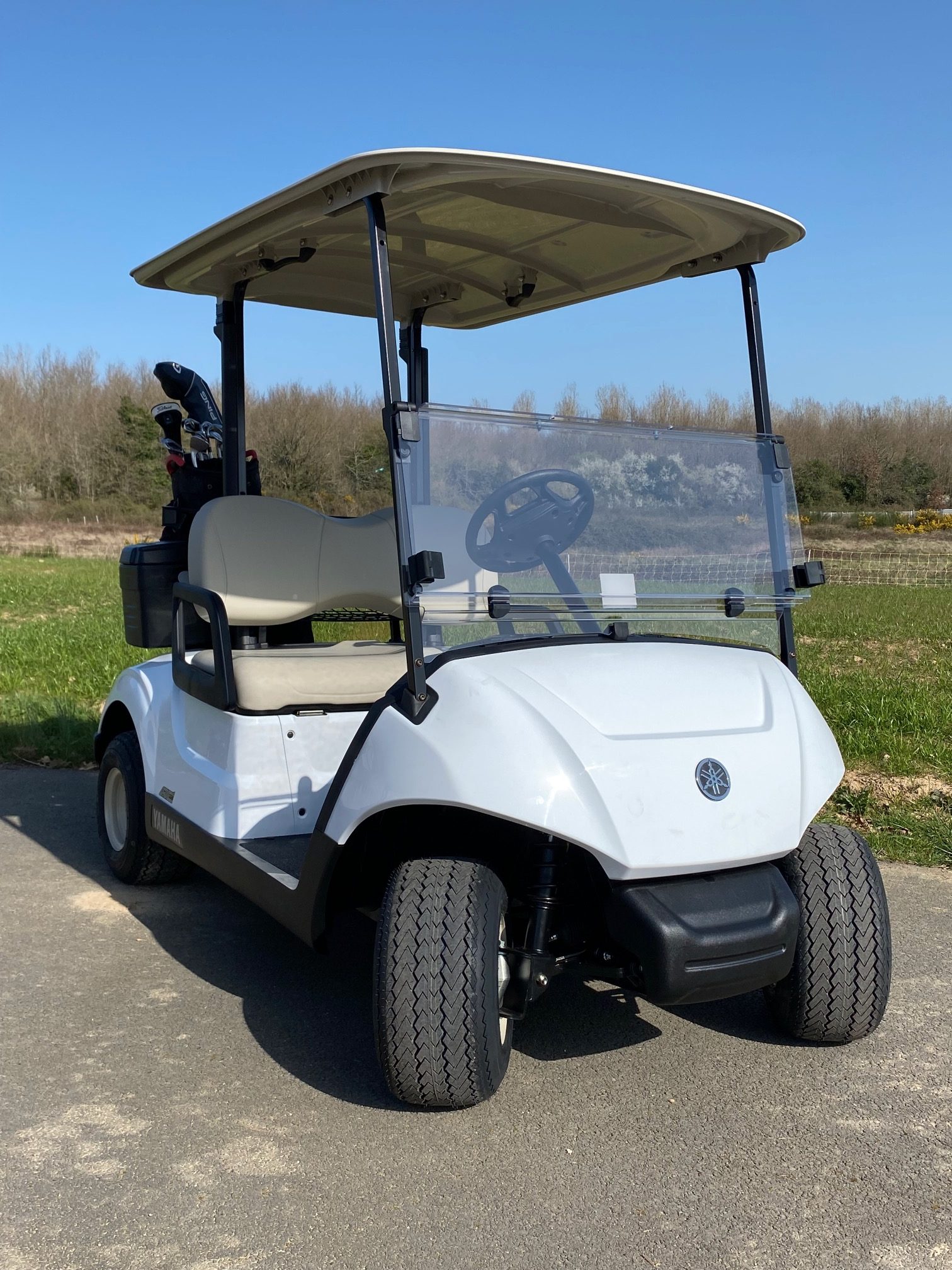 Voiturette de golf Yamaha 2 places