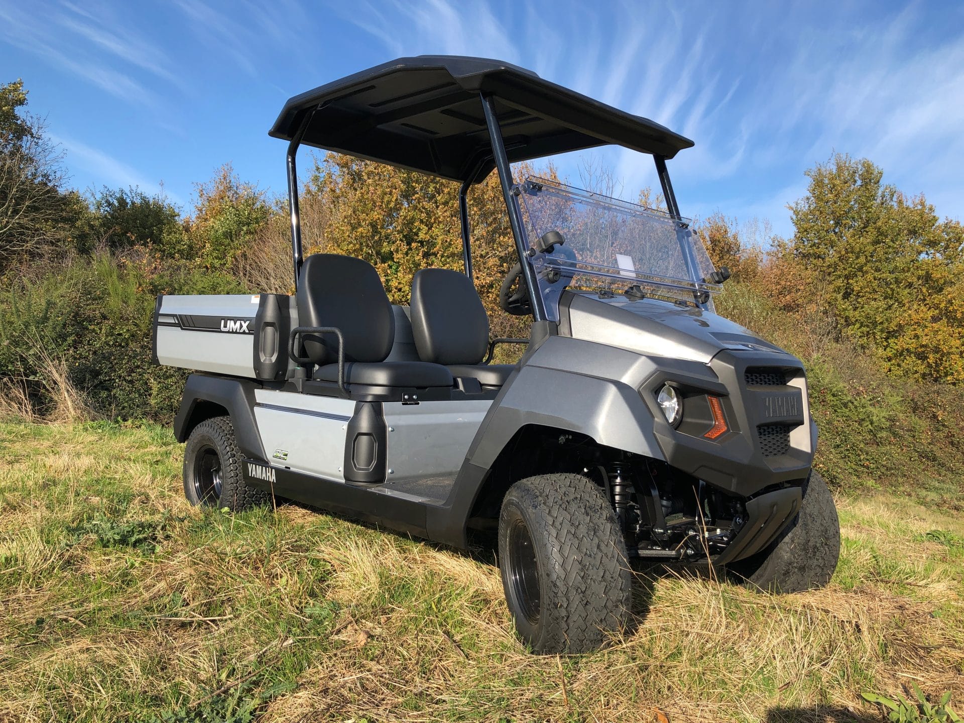 Utilitaire Yamaha UMX GolfCar