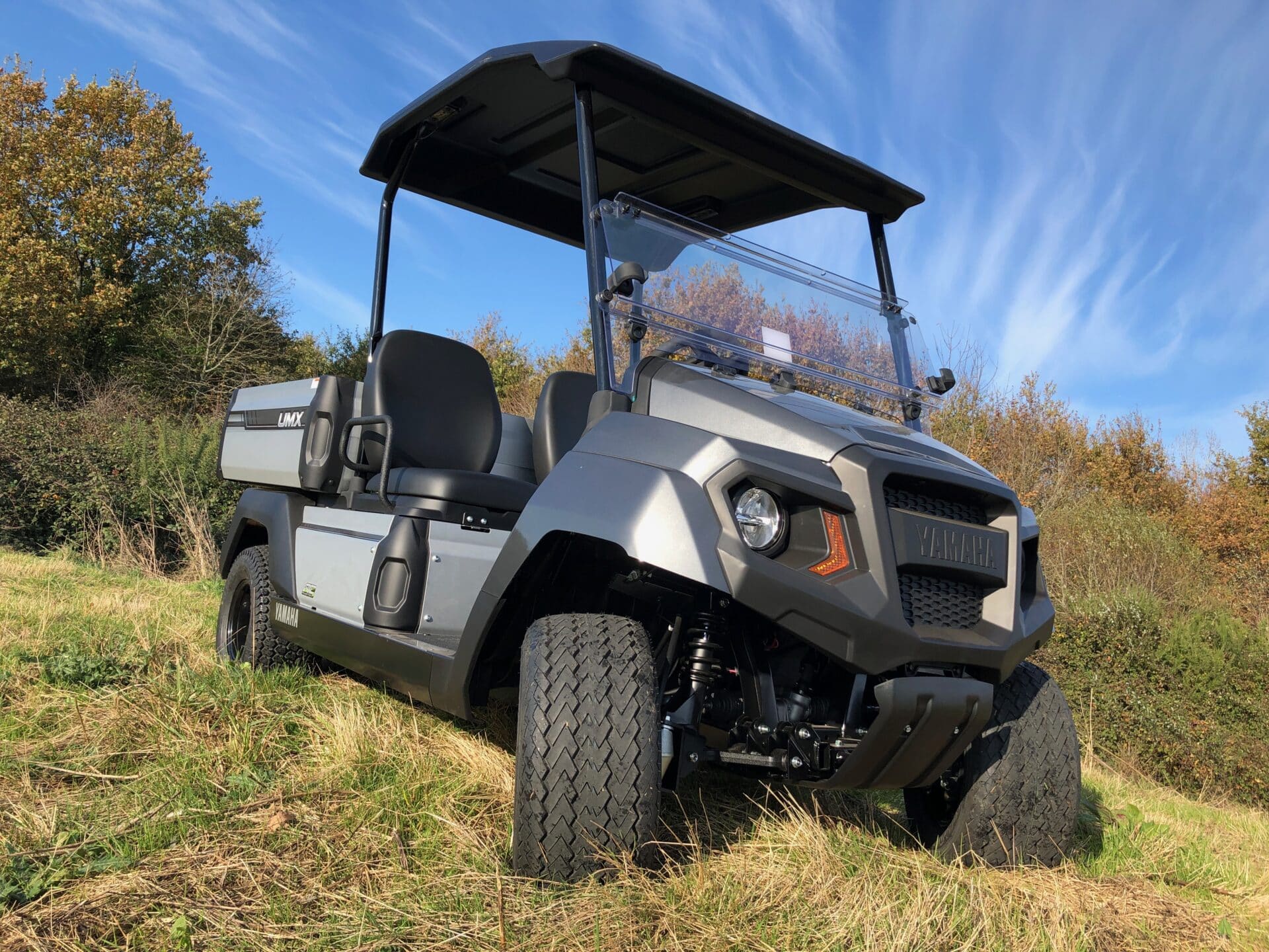 golfette Yamaha UMX GolfCar