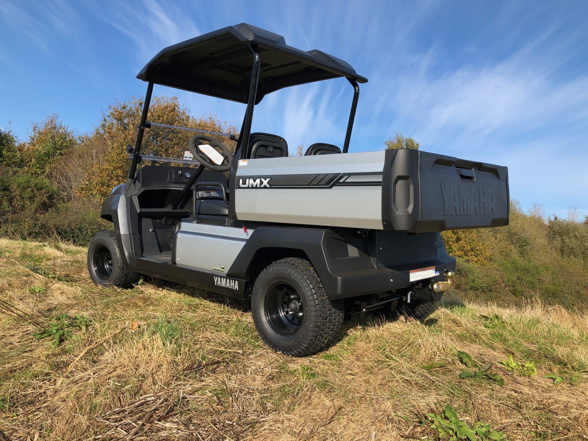 Utilitaire électrique Yamaha UMX GolfCar