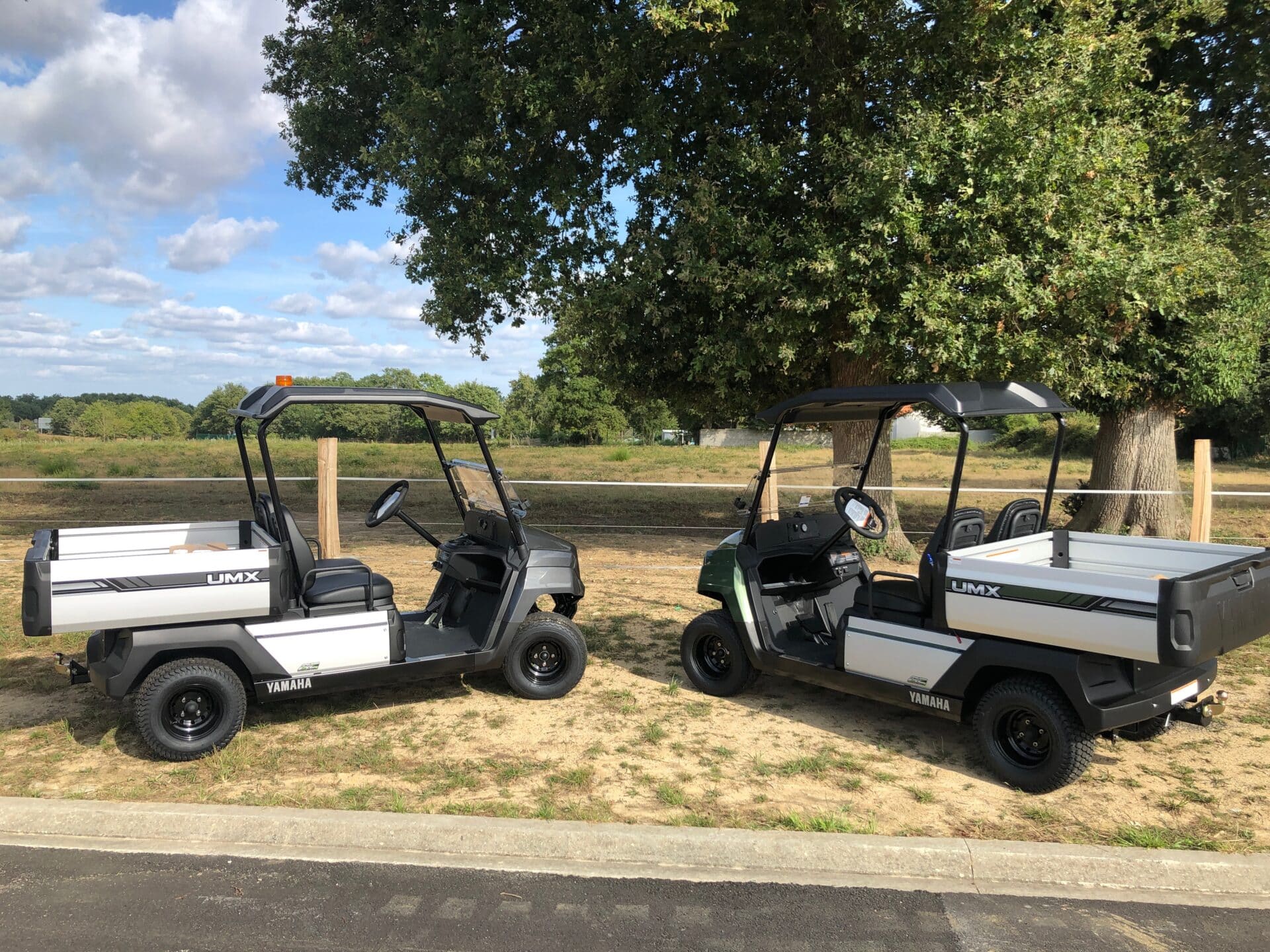 Yamaha UMX utilitaire électrique GolfCar