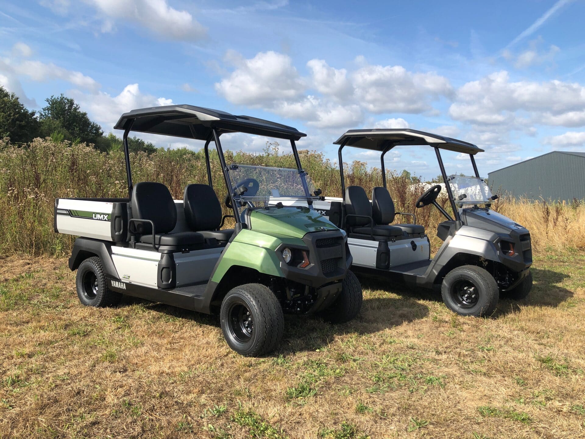 Yamaha électrique UMX utilitaire GolfCar