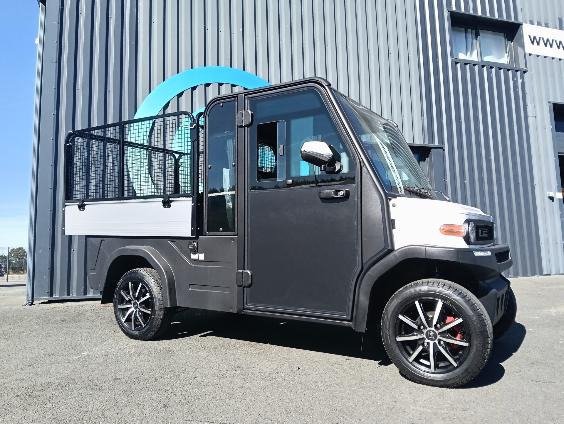 Voiturette électrique 2 place avec rehausses grillagées